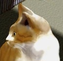 3Dえいじくん