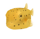 ふーふむ