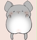 チンチラさんち
