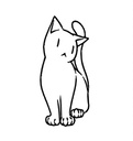 nyancatnc shop