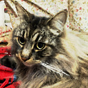 イラスト素材 海外の街並み Stock Arts Booth