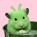 Bao 3d