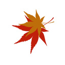 なぎのお店