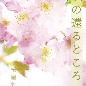 腐向け ジャミカリ ジャミカリ 信用の取り戻し方 ちこの小説 Pixiv