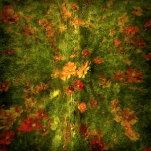 Flower 3