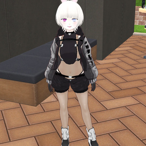 ぬしぴょんの服