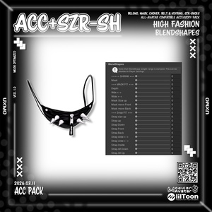 [ETC,SHOES][004] ACC PACK 缩略图 3