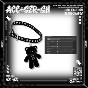 [ETC,SHOES][004] ACC PACK 缩略图 5
