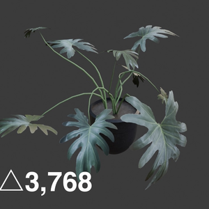 【3Dモデル】観葉植物　セローム