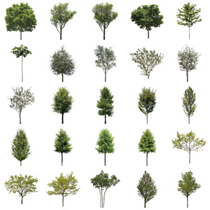 樹木切り抜きPNG素材セット　50個　free_trees_50p_006
