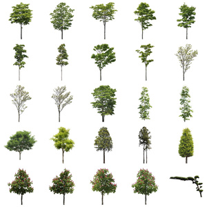 樹木切り抜きPNG素材セット　50個　free_trees_50p_009
