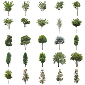 樹木切り抜きPNG素材セット　30個　free_trees_30p_010