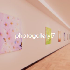 【VRChat想定/標準ベイク・Bakery両対応】photogallery17【ワールドアセット】