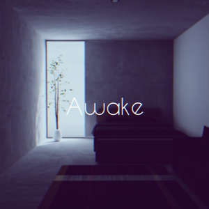 【VRChat想定】Awake【ワールドアセット】