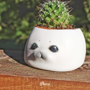 反抗期あざらしの植木鉢　Rebellious seal flower pot
