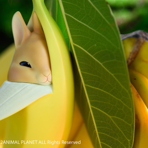 BANANAうさぎ フィギュア