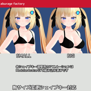 【みなみ シエリィ ルチカ】対応 衣装モデル アンダーウェアセット 缩略图 6