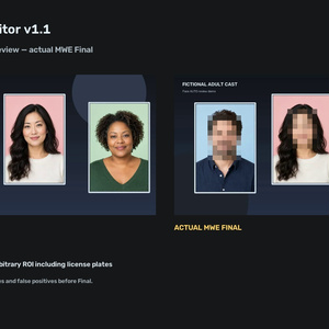 Mosaic Web Editor v1.1｜動画モザイク編集ツール【Face / Sensitive AUTO＋手動補正】