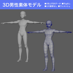 3DCG男性素体モデル