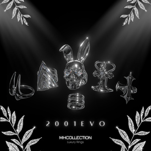 【VRC想定/21アバター対応】【MA対応】MH Rings 2001evo