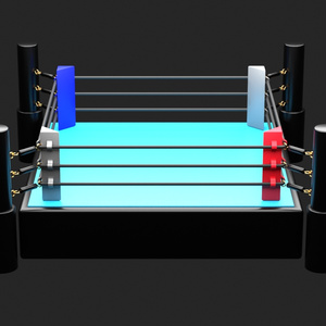 【3Dモデル】プロレスリングのリング