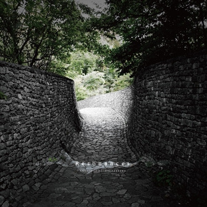 Resonances -Tribute to bermei.inazawa-