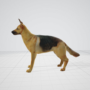 3dモデル　犬　モデル