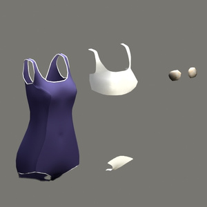3Dモデル スクール水着（白ふち）Tireur/Zero/九尾の傍観者/Nemesis/旅枕ヨカ【VRChat想定】 缩略图 13