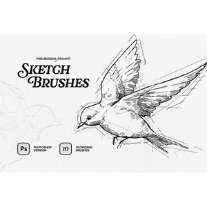 Sketcher Brushes｜Illustrator・Photoshop対応 スケッチ鉛筆ブラシ