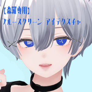 【森羅専用】 ブルースクリーン アイテクスチャ