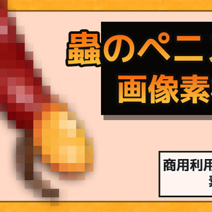 蟲のペニス・交尾器官 画像素材～商用OK著作権フリー