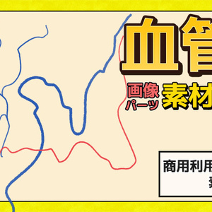 血管 画像素材～商用成人利用ＯＫの著作権フリー