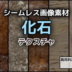 化石のテクスチャ／シームレス画像素材～商用成人利用ＯＫの著作権フリー