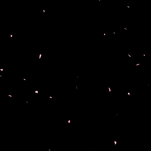 【配信者向け】桜吹雪（背景透過＆ループ可能）