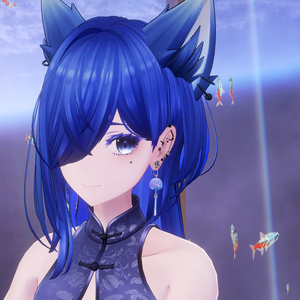 Ear accessories