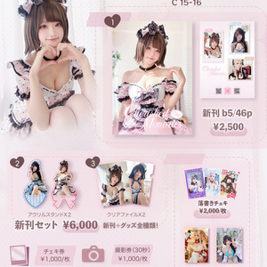 pdf版】ぶんです☆ふぇすと！ ドイツ連邦軍装備ファン合同写真集