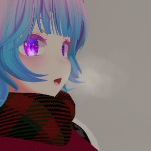 息システム