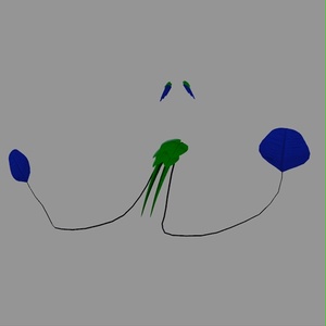 【VRC想定】ハチドリテール / Spatuletail 缩略图 7