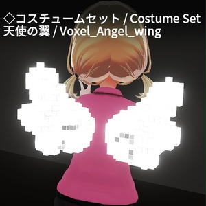 【VRC想定】ボクセルアクセサリーセット / Voxel Accessory Set 缩略图 19
