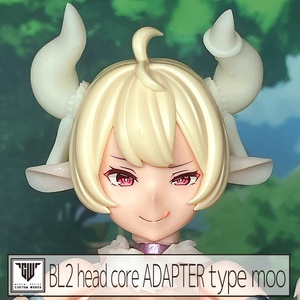 BL2 head core adapter...