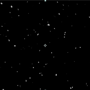 星パーティクル