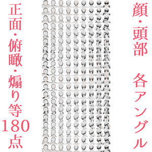 【作画資料】顔・頭部計180アングル画像素材