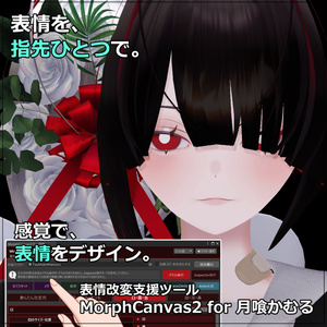 【VRChat 表情改変支援ツール】MorphCanvas2 フルセット版 【Unity Editor拡張】 缩略图 16