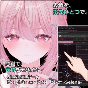 【VRChat 表情改変支援ツール】MorphCanvas2 - for セレナ -Selena-【Unity Editor拡張】