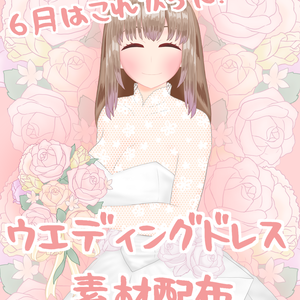 2022年度ウエディングドレス素材
