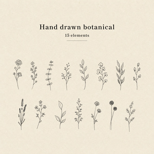 Hand drawn botanical PNG素材(Black)