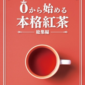 ４３歳のおじさんがVTuberを目指した結果【pdf】 - 木緒なち／コロリメイジ - BOOTH