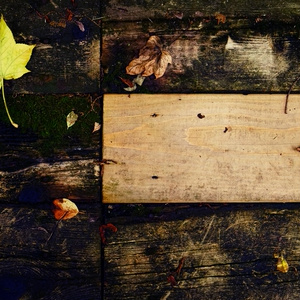 Picnos 16 9写真専門素材サイト Booth