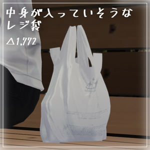 Plastic Bag That Looks Like It Has Something Inside