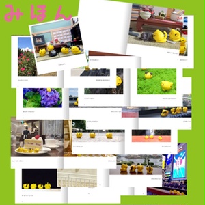 ミニ写真集